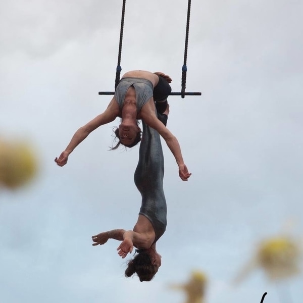 Intro to Aerial Trapeze